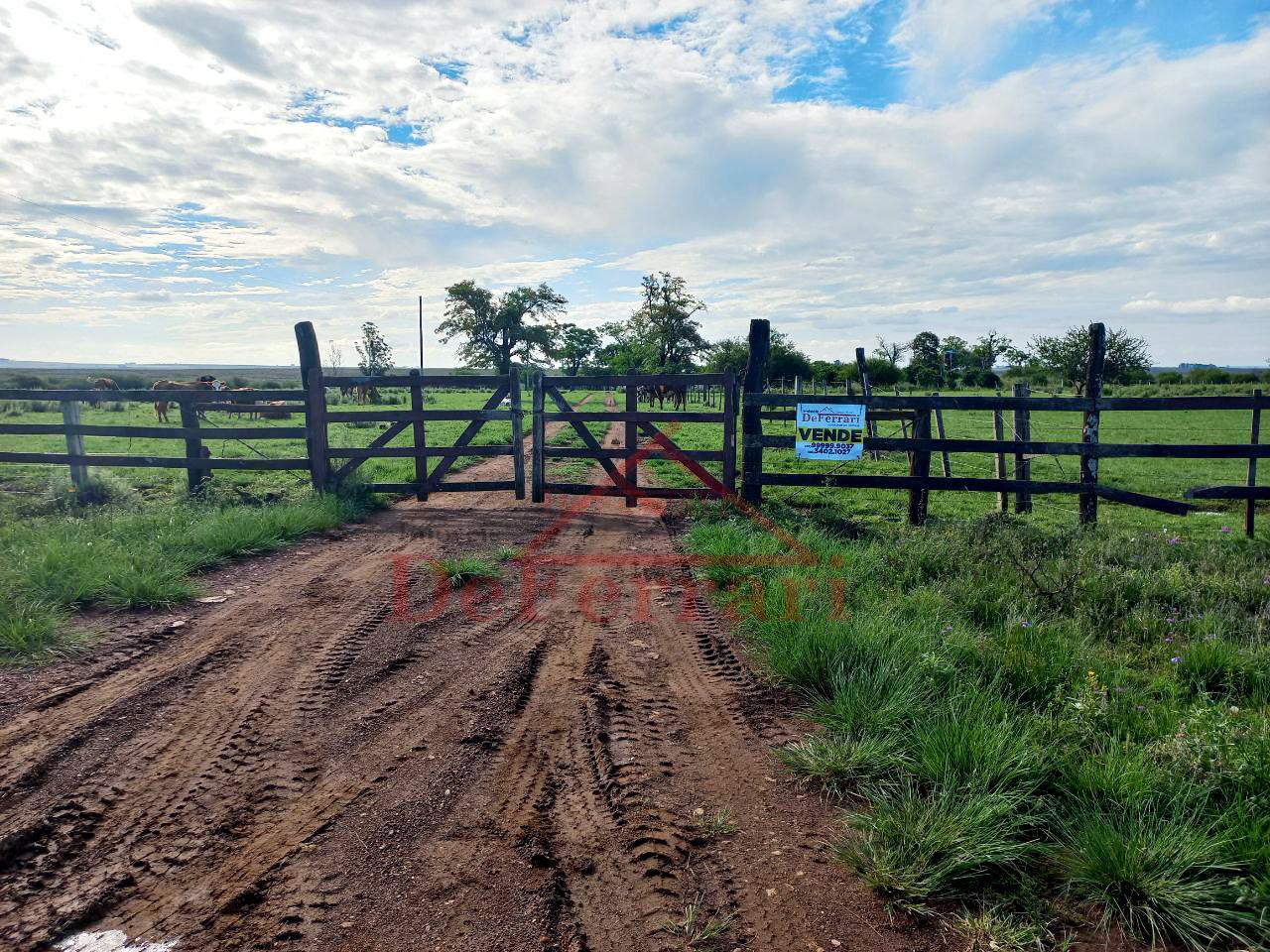 Fazenda, 5 quartos - Foto 2