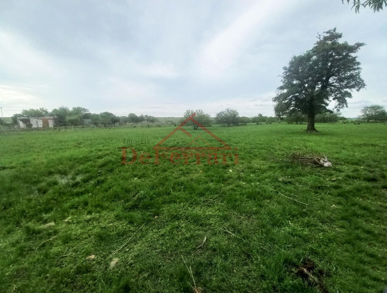 Fazenda, 5 quartos - Foto 4