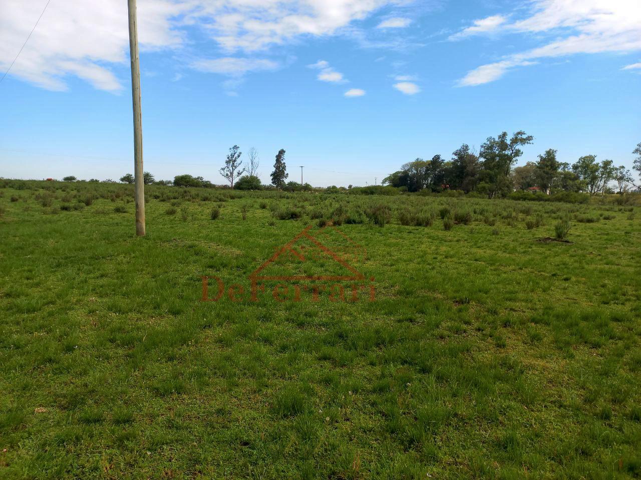 Fazenda, 5 quartos - Foto 5