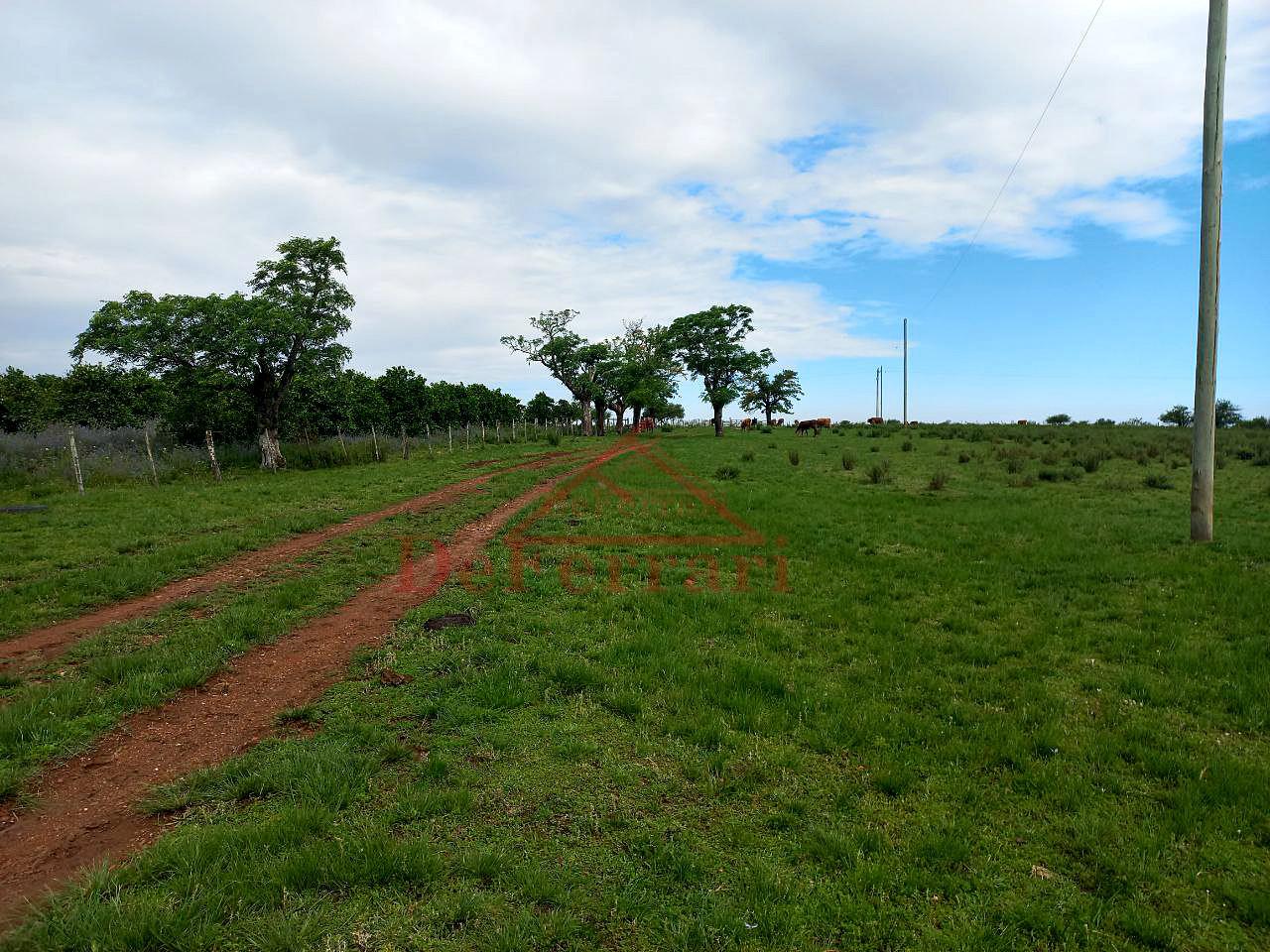 Fazenda, 5 quartos - Foto 3