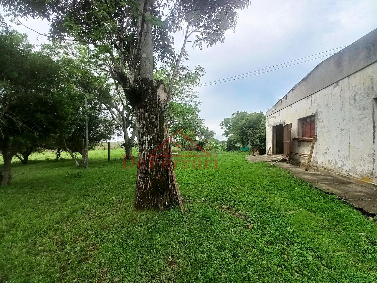 Fazenda, 5 quartos - Foto 6