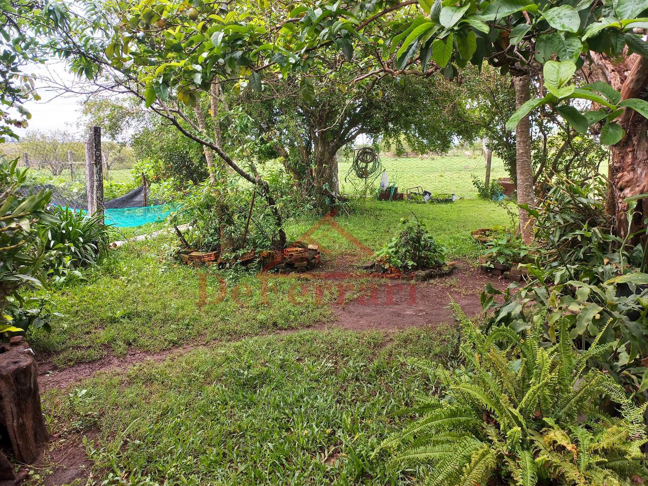 Fazenda, 5 quartos - Foto 32