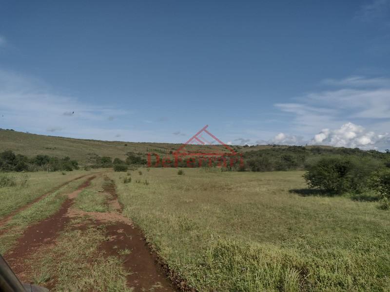 Fazenda, 4 quartos - Foto 17