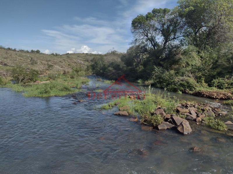 Fazenda, 4 quartos - Foto 27