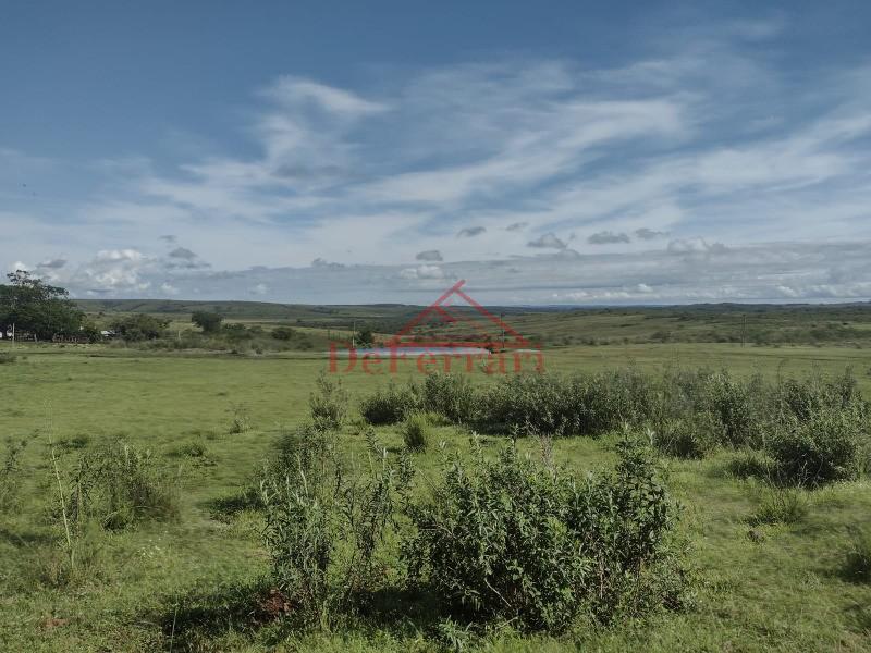 Fazenda, 4 quartos - Foto 18