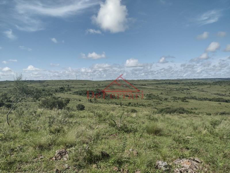 Fazenda, 4 quartos - Foto 19