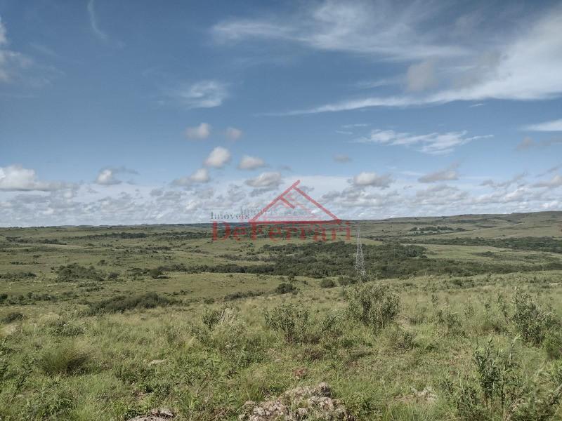 Fazenda, 4 quartos - Foto 20