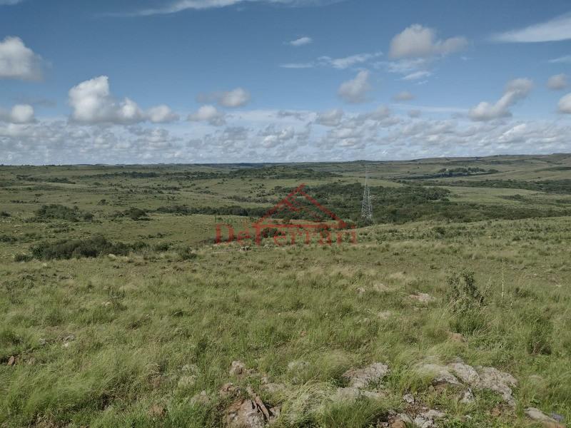 Fazenda, 4 quartos - Foto 23