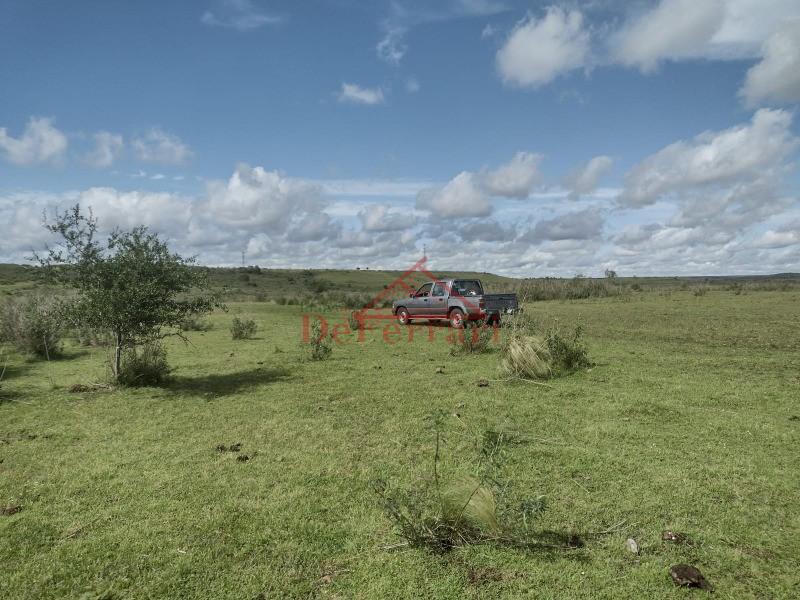 Fazenda, 4 quartos - Foto 24