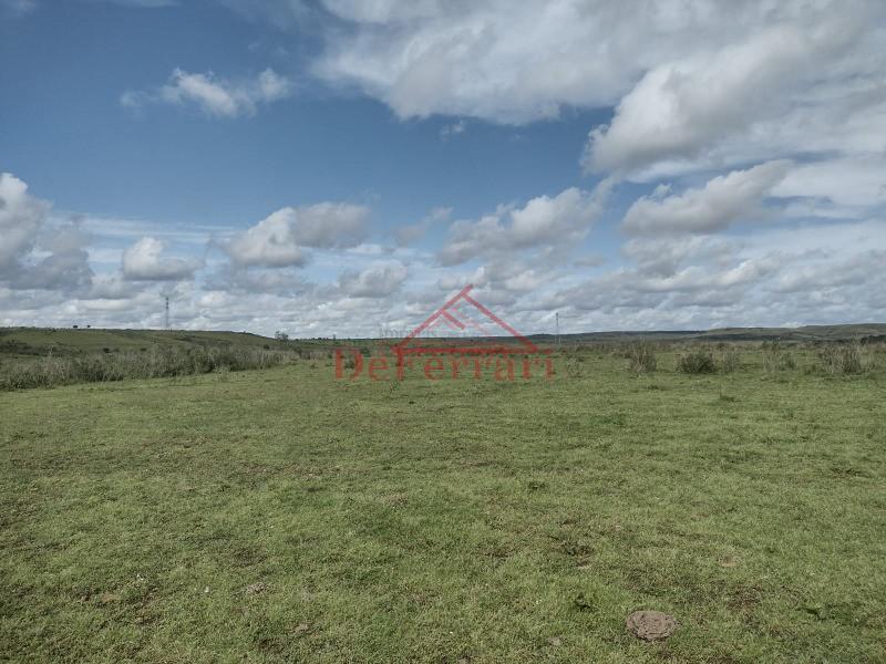 Fazenda, 4 quartos - Foto 25