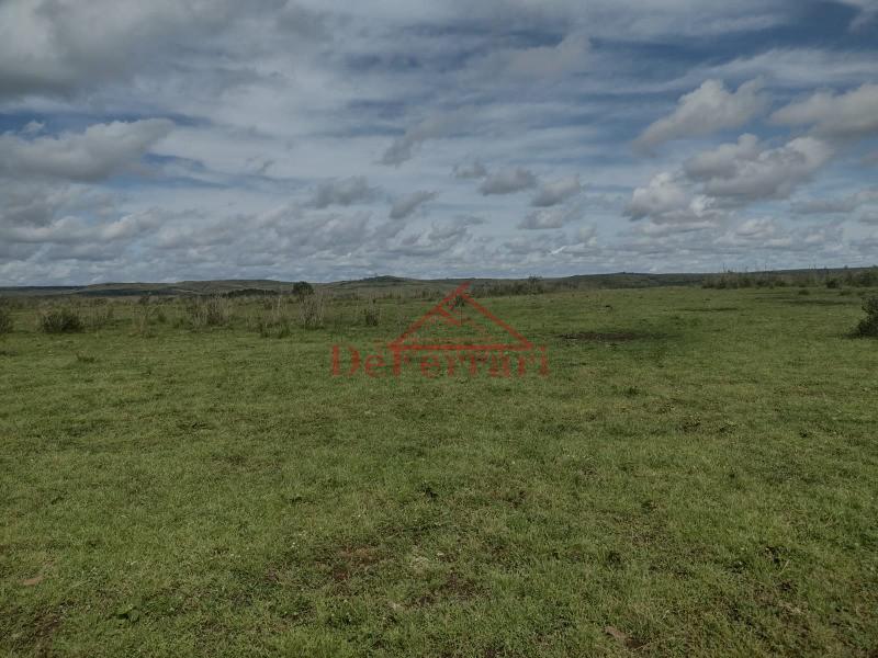 Fazenda, 4 quartos - Foto 26