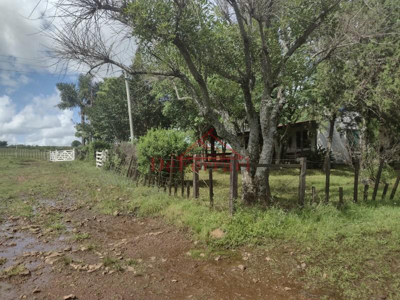 Fazenda, 4 quartos - Foto 15