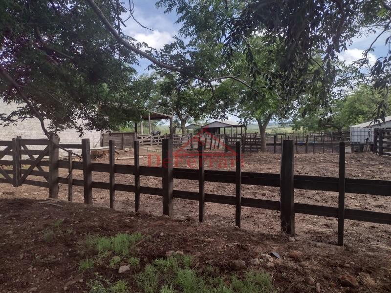 Fazenda, 4 quartos - Foto 8