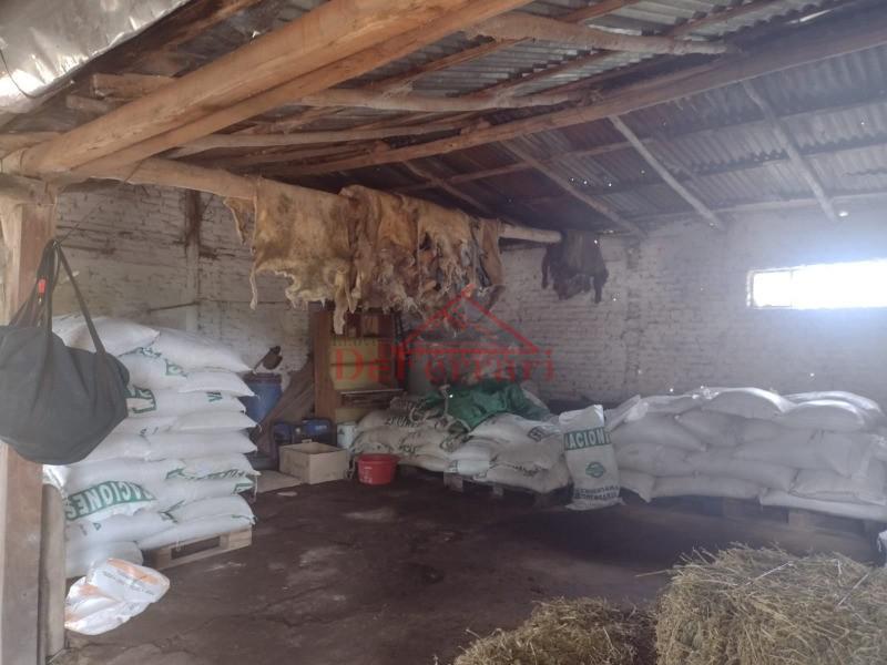 Fazenda, 4 quartos - Foto 12