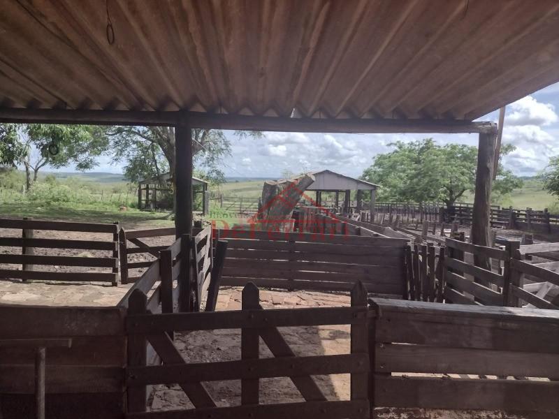 Fazenda, 4 quartos - Foto 7