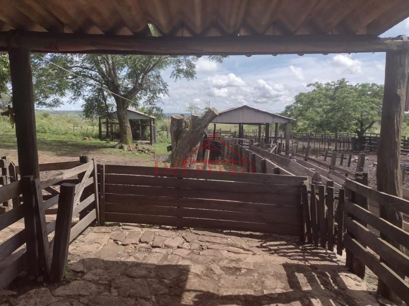 Fazenda, 4 quartos - Foto 6