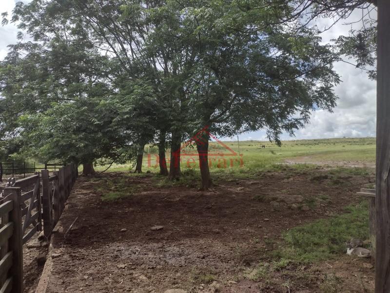 Fazenda, 4 quartos - Foto 16