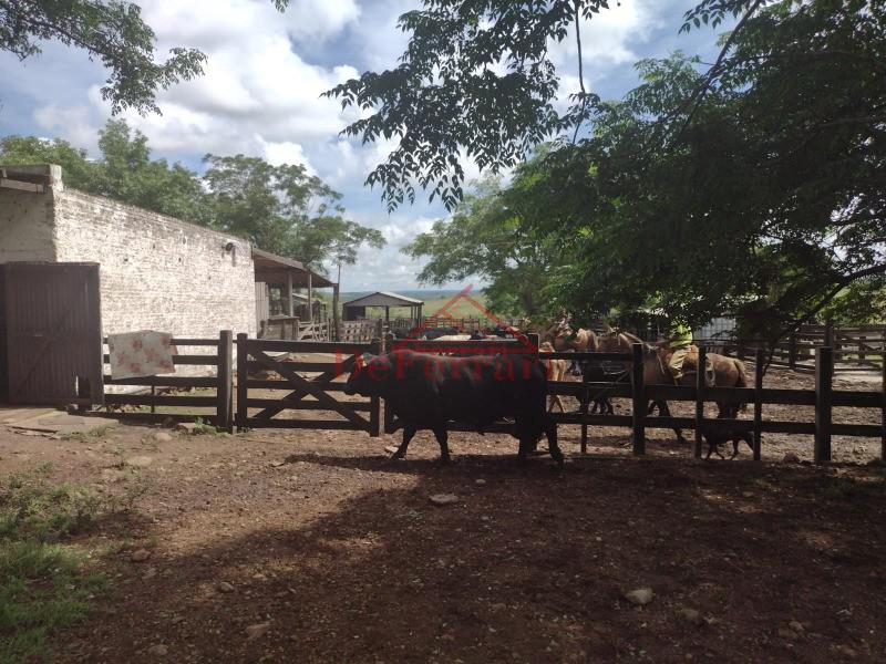 Fazenda, 4 quartos - Foto 9