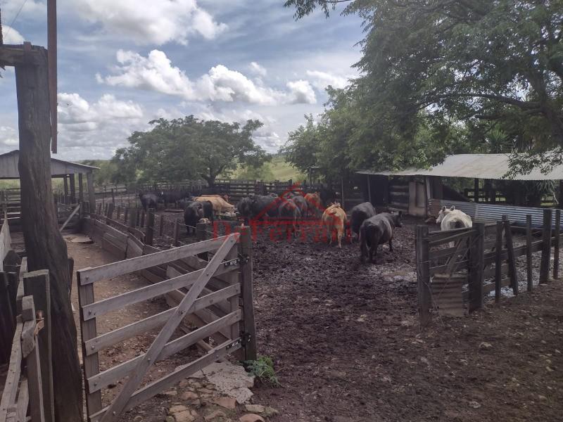 Fazenda, 4 quartos - Foto 11