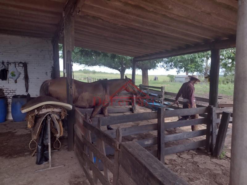 Fazenda, 4 quartos - Foto 2
