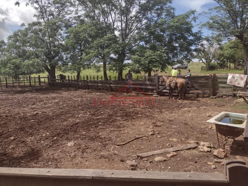 Fazenda, 4 quartos - Foto 14