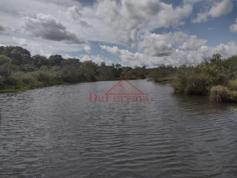 Fazenda, 4 quartos - Foto 31