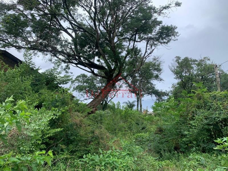 Terreno, 739 m² - Foto 3