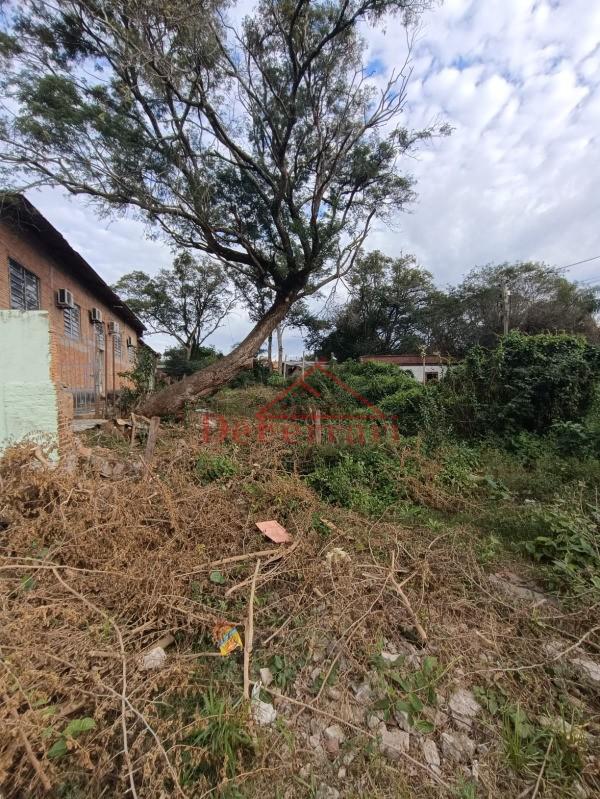 Terreno, 739 m² - Foto 2