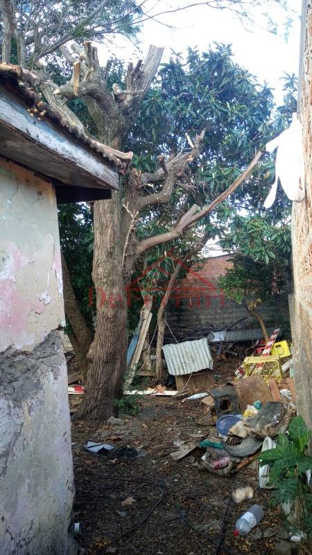 Casa, 2 quartos, 300 m² - Foto 7