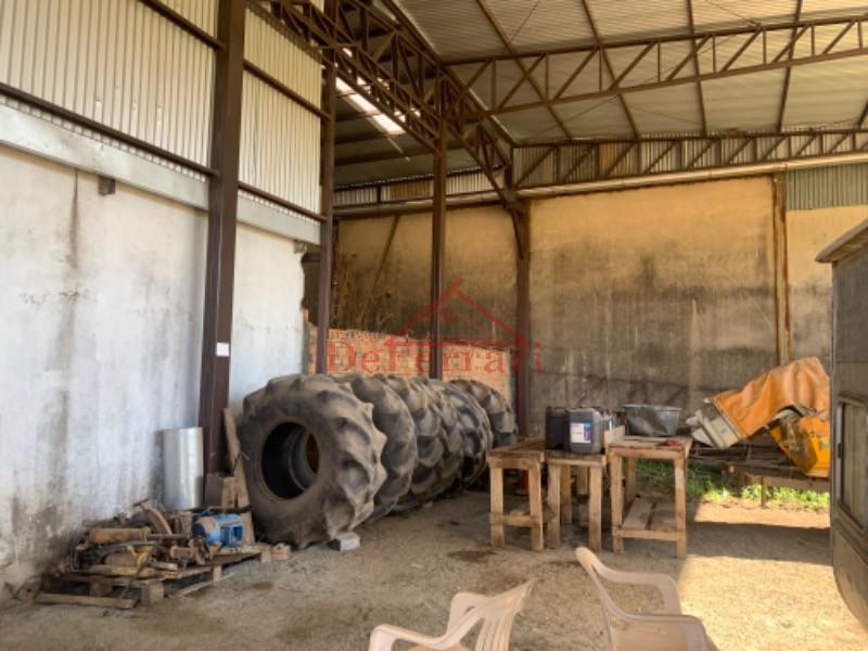 Depósito-Galpão, 600 m² - Foto 3