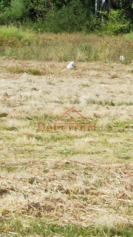 Terreno, 248 m² - Foto 2