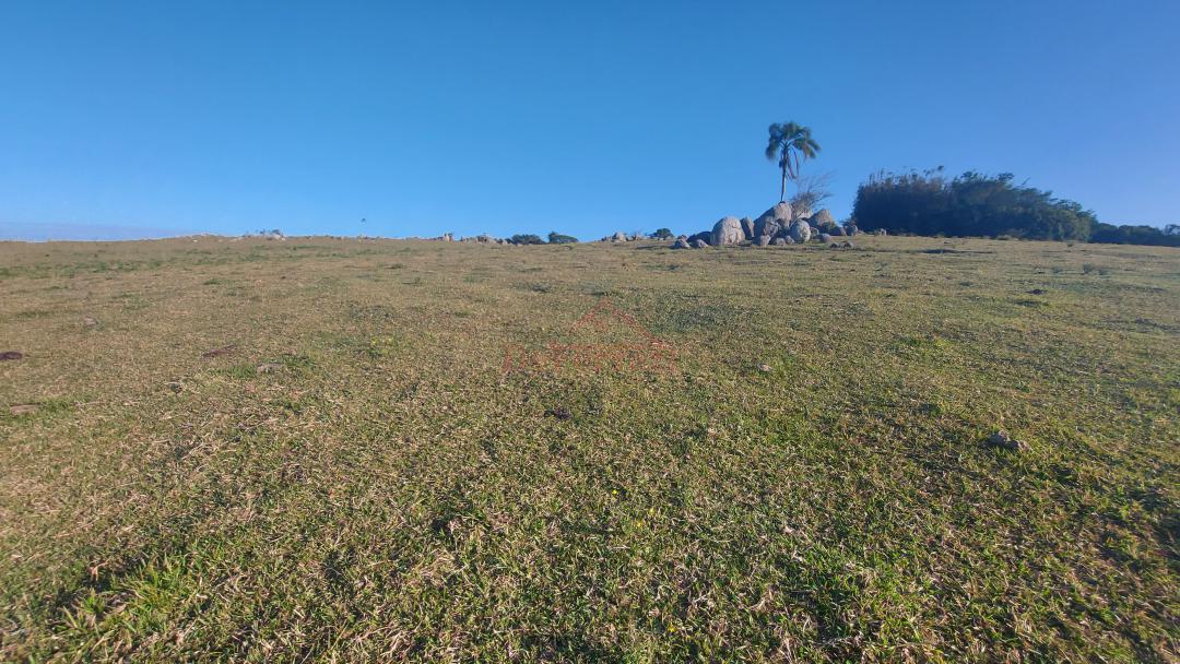 Sítio, 6 m² - Foto 3