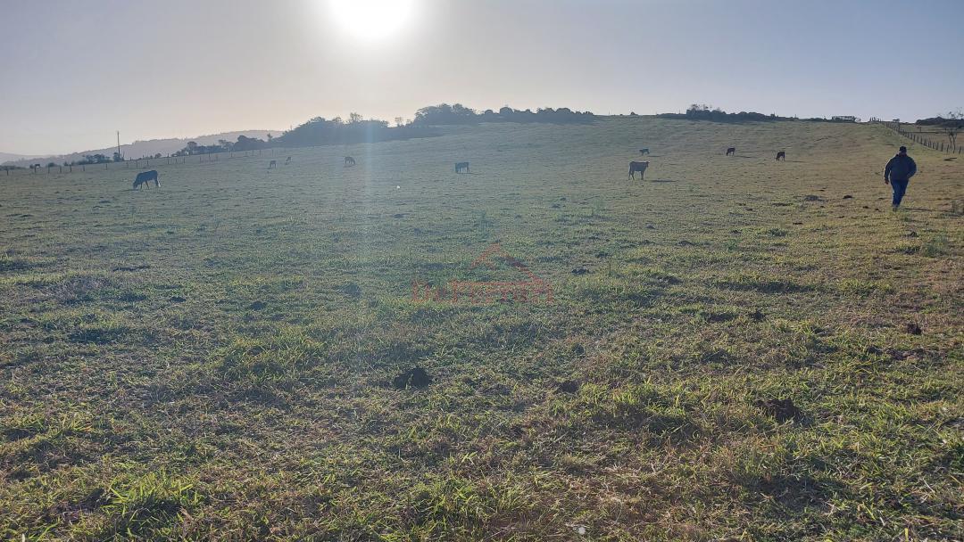 Sítio, 6 m² - Foto 2