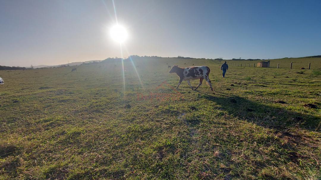 Sítio, 6 m² - Foto 6