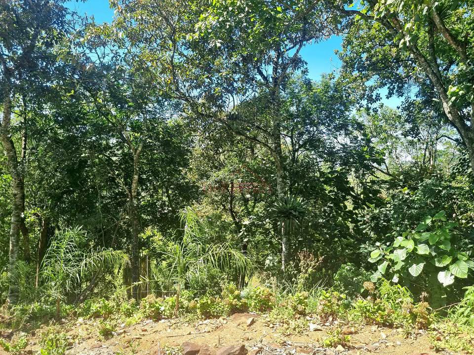 Terreno, 2 m² - Foto 7