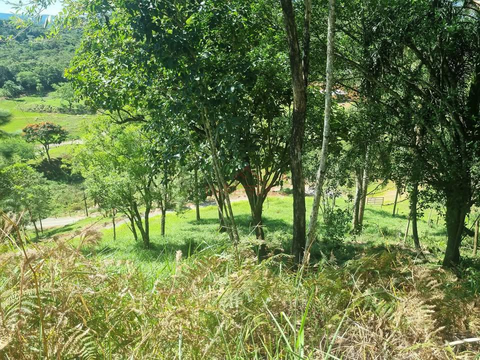 Terreno, 2 m² - Foto 8