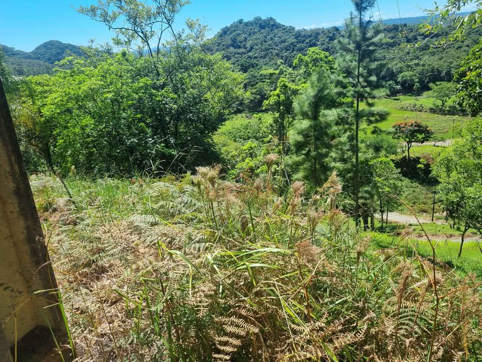 Terreno, 2 m² - Foto 9