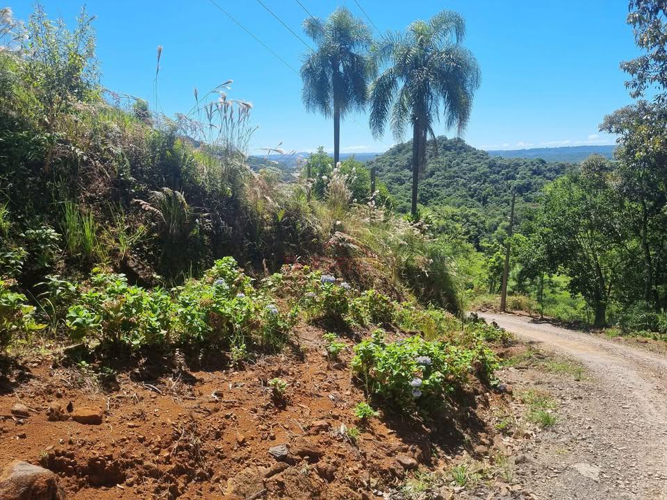 Terreno, 2 m² - Foto 10