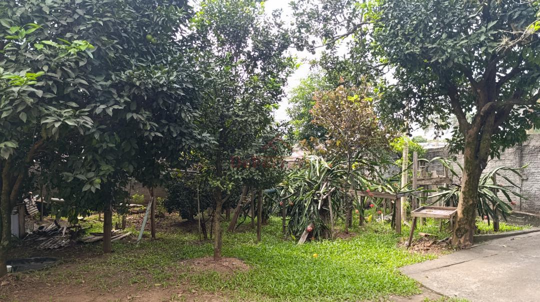 Casa, 2 quartos, 390 m² - Foto 15