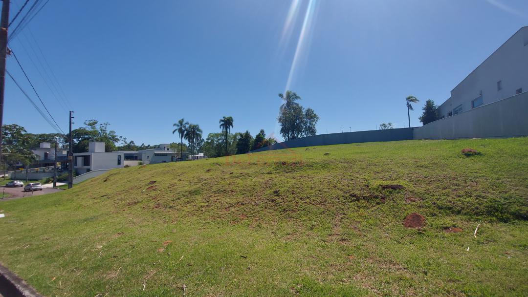 Terreno, 589 m² - Foto 6