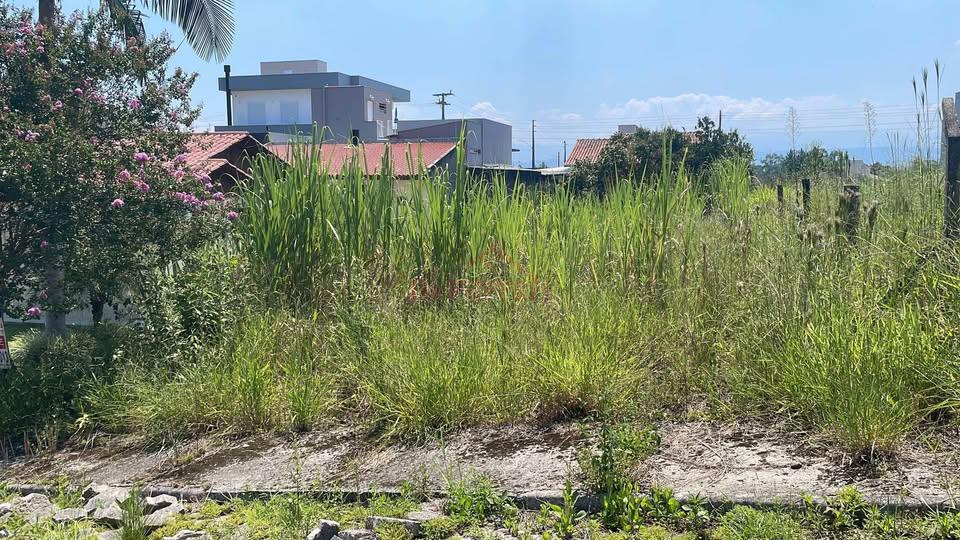 Terreno, 364 m² - Foto 2