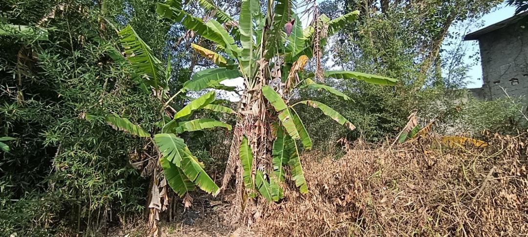 Casa, 2 quartos, 75 m² - Foto 27