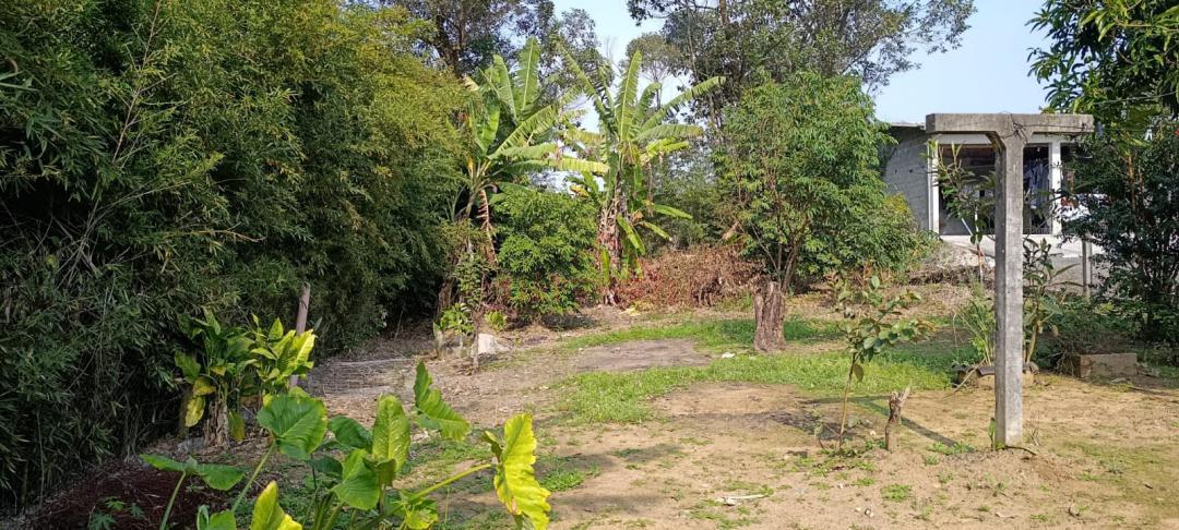 Casa, 2 quartos, 75 m² - Foto 28