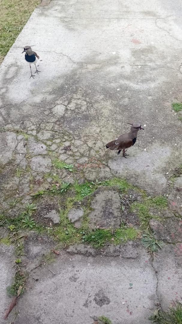 Casa, 3 quartos, 20 m² - Foto 46