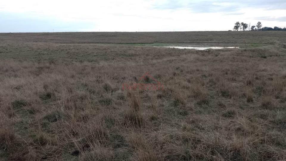 Terreno, 675000 m² - Foto 1