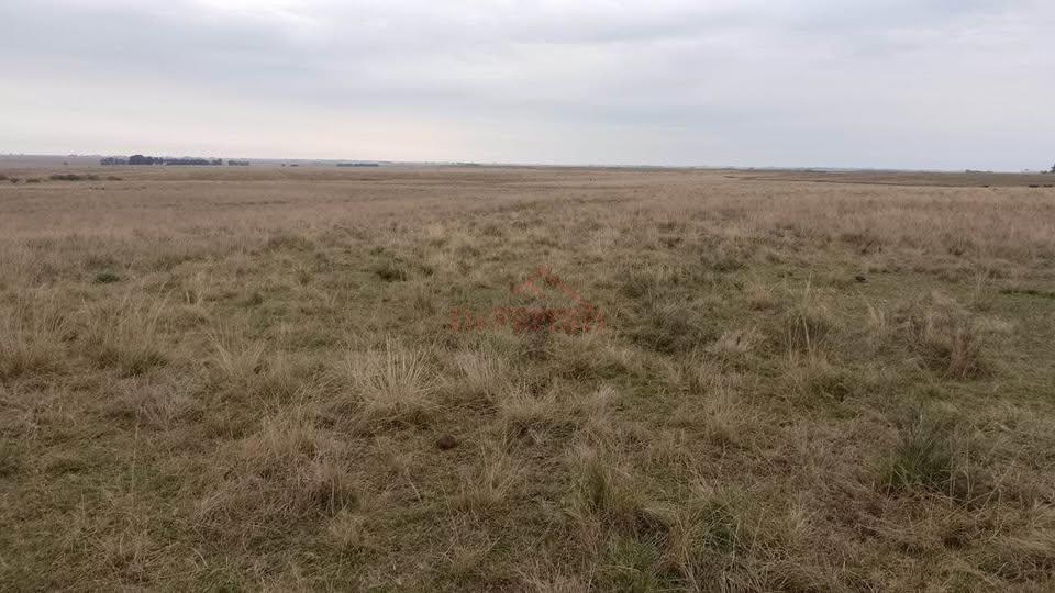 Terreno, 675000 m² - Foto 2