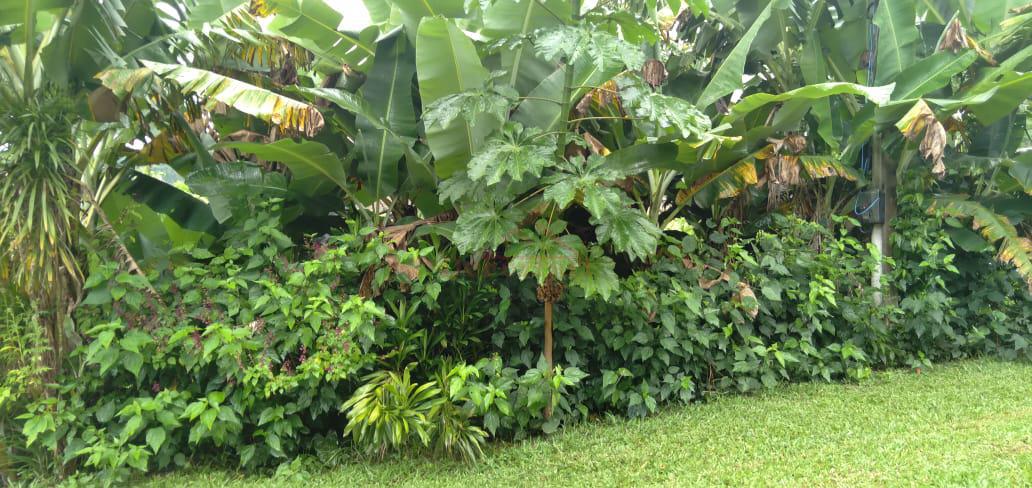 Sítio, 9 m² - Foto 20