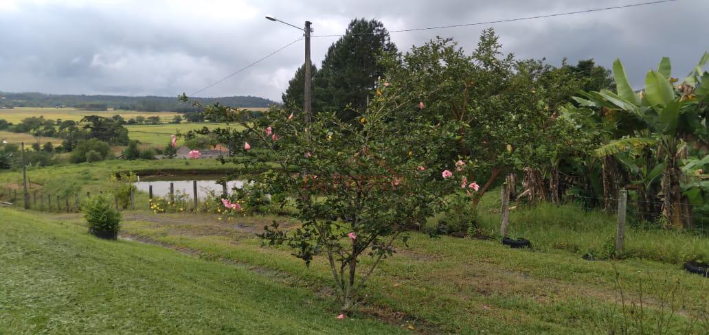 Sítio, 9 m² - Foto 10