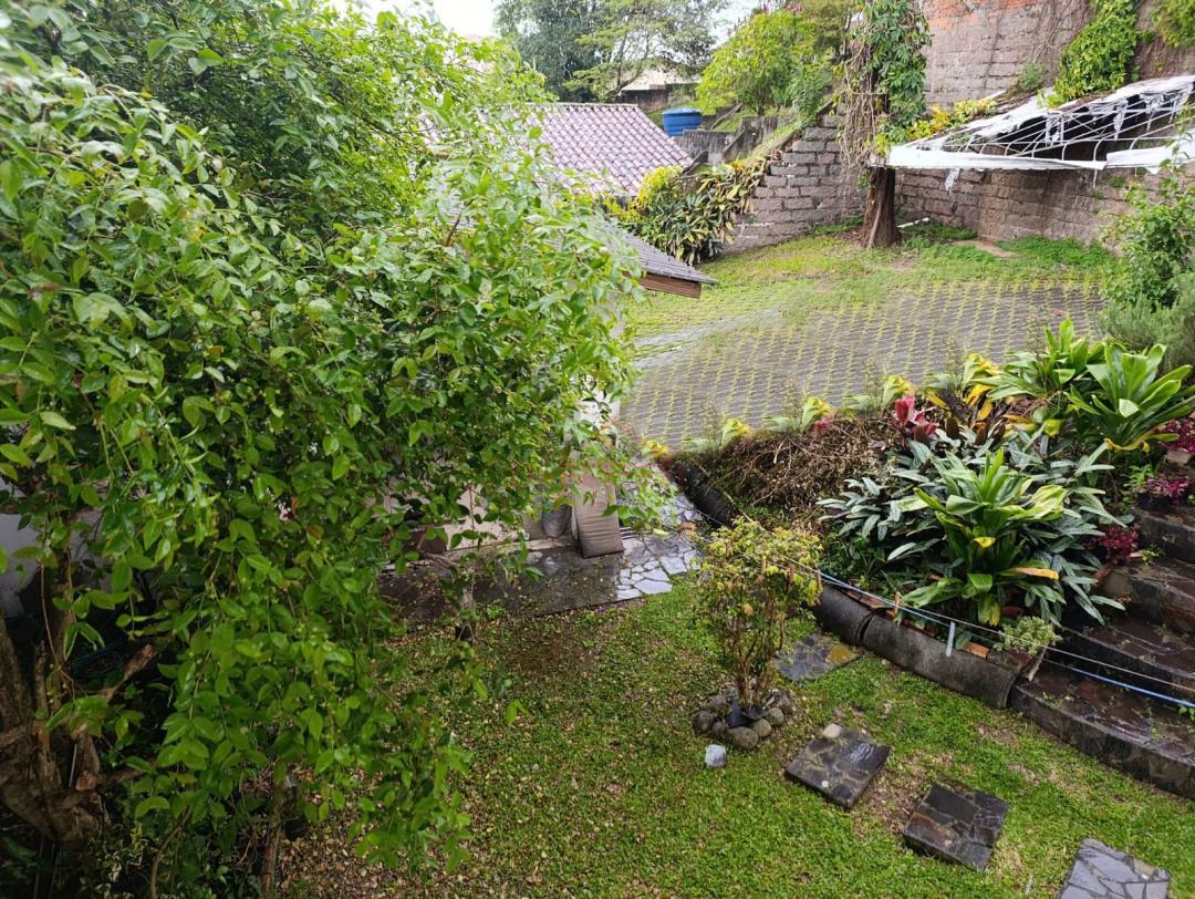 Casa, 8 quartos, 271 m² - Foto 47