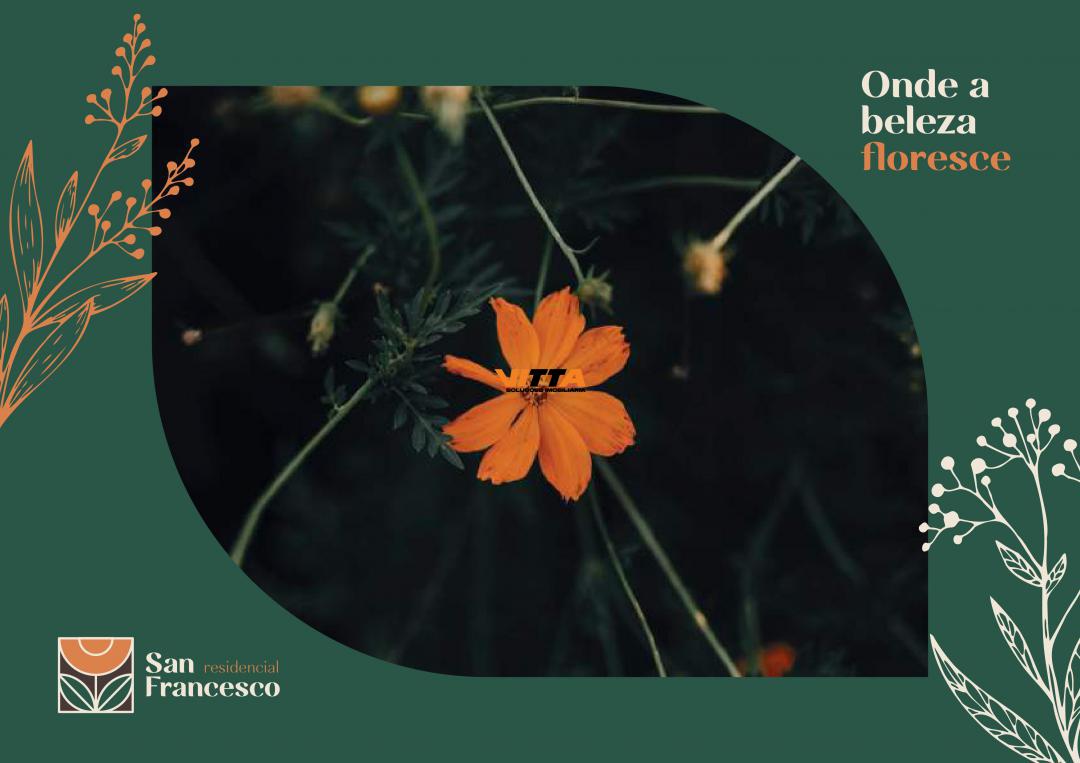 Apartamento, 2 quartos, 44 m² - Foto 2